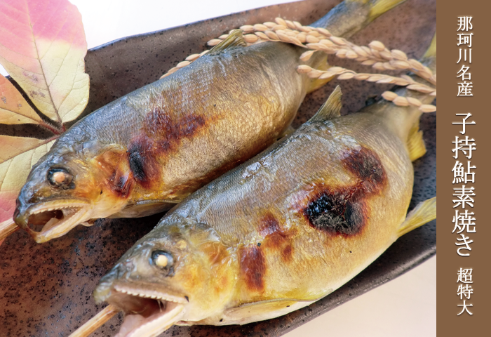 子持鮎