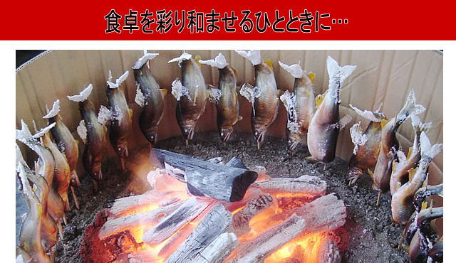 那珂川名産炭火でこんが り香ばしく焼き上げた鮎塩焼き