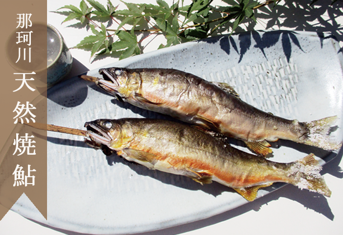 天然焼鮎