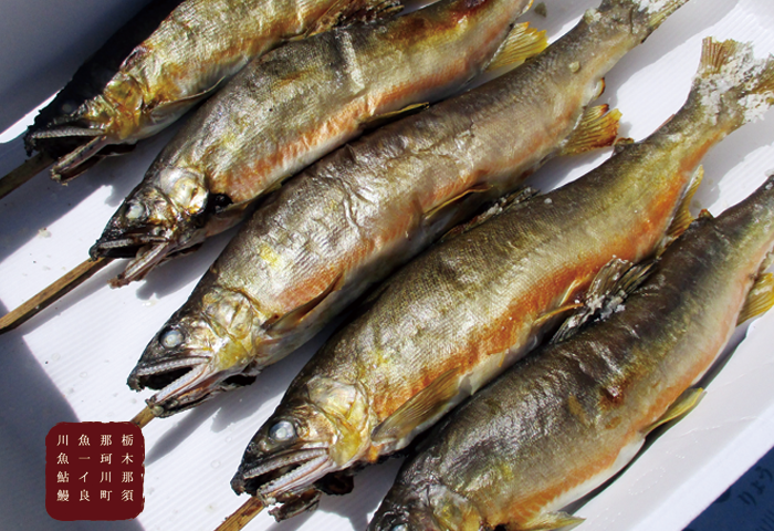 天然鮎那珂川 濃厚な味と香りの那珂川天然鮎,一度食べたら忘れられない味わいです！